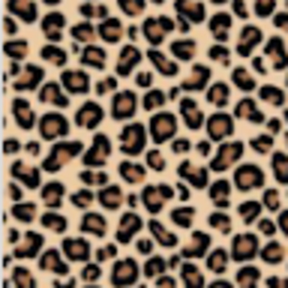 Meet your Posher, Alyssa - Picture 1 of 1